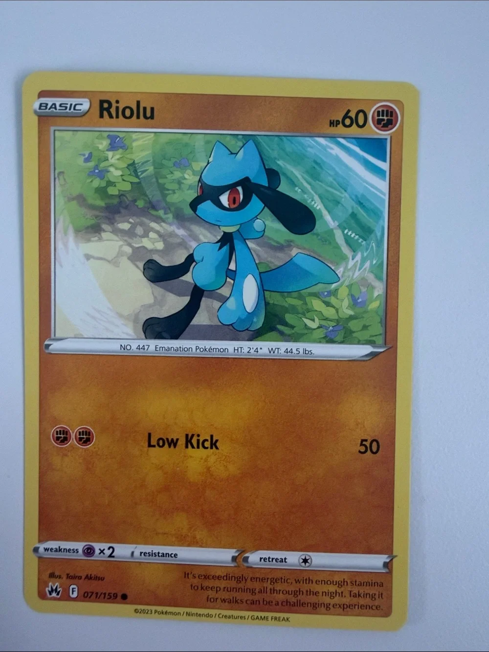 🪨 Rock & Fighting Pokémon Card Lot | Steelix Riolu Mankey Nosepass ✨5/$25✨